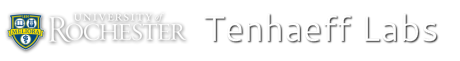 Tenhaeff Labs